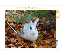 CALVENDO Puzzle Kaninchen im Herbstlaub 1000 Teile Puzzle quer 1000 Pieces 64 x 48 cm from Kattobello