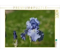 CALVENDO Puzzle Hellblaue Lilien 1000 Teile Puzzle quer 1000 Pieces 64 x 48 cm from Kattobello