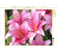 CALVENDO Puzzle Lys en Rose 1000 Pieces 64 x 48 cm from Gisela Kruse