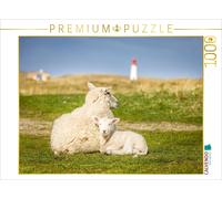 Puzzle CALVENDO Des moutons dans la réserve naturelle d'Ellenbogen, sur l'île de