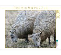 CALVENDO Puzzle Pâturage des Moutons 1000 Pieces 64 x 48 cm from Martina Cross