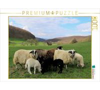 CALVENDO Puzzle Moutons au Meißner près de Großalmerode-Weißenbach 1000 Pieces 64 x 48 cm from Sabine Löwer