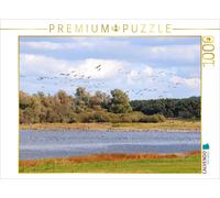 CALVENDO Puzzle Oies Sauvages au lac Gülper 1000 Pieces 64 x 48 cm from Anja Frost