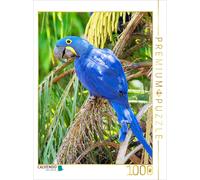 CALVENDO Puzzle des perroquets colorés : Ara hyacinthe. 1000 Pieces 48 x 64 cm from Verlag