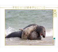 CALVENDO Puzzle Jouer aux phoques Gris 1000 Pieces 64 x 48 cm from Katrin Streiparth
