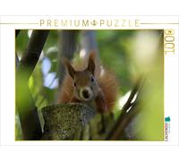 Puzzle CALVENDO Des rongeurs adorables | 1000 pièces, format assemblé 64 × 48 cm