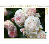 CALVENDO Puzzle Roses dans Le Jardin 1000 Pieces 64 x 48 cm from Martina Cross