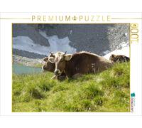 Puzzle CALVENDO Des vaches brunes du Tyrol en train de ruminer dans les alpages