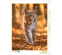 Puzzle CALVENDO Des yeux comme un automne doré | 1000 pièces, format assemblé 64