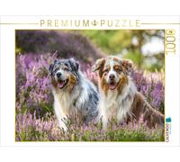 Puzzle CALVENDO Deux bergers australiens, tout sourire, sont assis dans la lande