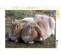 CALVENDO Puzzle Zwei Dicke Freunde 1000 Teile Puzzle quer 1000 Pieces 64 x 48 cm from Kattobello