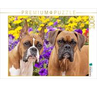 Puzzle CALVENDO Deux chiens de race boxer observent attentivement. | 1000 pièces