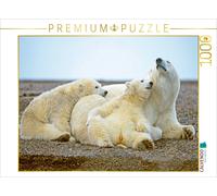 CALVENDO Puzzle Deux Jeunes Ours Polaires s'ennuient. 1000 Pieces 64 x 48 cm from Verlag
