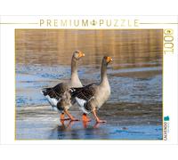 Puzzle CALVENDO Deux oies cendrées | 1000 pièces, format assemblé 64 × 48 cm | P