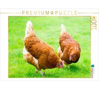 Puzzle CALVENDO Deux poules heureuses | 1000 pièces, format assemblé 64 × 48 cm