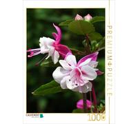 CALVENDO Martina Cross Puzzle Double néon White Diva Fuchsia Blanc 1000 pièces Taille 48 x 64 cm