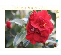 Puzzle CALVENDO Dr. Burnside | 1000 pièces, format assemblé 64 × 48 cm | Puzzle