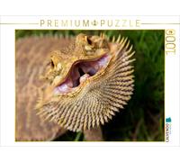 CALVENDO Puzzle Dragon Barbu - Australie du Sud 1000 Pieces 64 x 48 cm from Aussiefreak