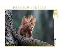 CALVENDO Puzzle Eichhörnchen 1000 Teile Puzzle quer 1000 Pieces 64 x 48 cm from SchnelleWelten