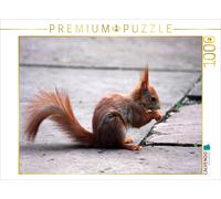 CALVENDO Puzzle Eichhörnchen 1000 Teile Puzzle quer 1000 Pieces 64 x 48 cm from SchnelleWelten