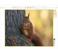 CALVENDO Puzzle Eichhörnchen 1000 Teile Puzzle quer 1000 Pieces 64 x 48 cm from SchnelleWelten