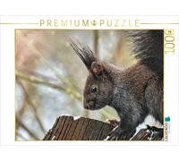 Puzzle CALVENDO Écureuil brun | 1000 pièces, format assemblé 64 × 48 cm | Puzzle