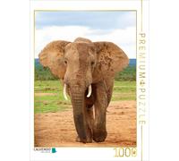Puzzle CALVENDO Éléphant | 1000 pièces, format assemblé 64 × 48 cm | Puzzle phot
