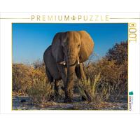 CALVENDO Puzzle Éléphant à Etosha 1000 Pieces 64 x 48 cm from Stefan Schütter