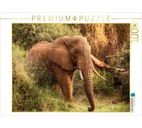 CALVENDO Puzzle Éléphant dans Le Serengeti Central 1000 Pieces 64 x 48 cm from Dirk Stamm