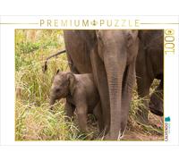 Puzzle CALVENDO Éléphants d'Asie | 1000 pièces, format assemblé 64 × 48 cm | Puz