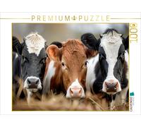 Puzzle CALVENDO En route ensemble | 1000 pièces, format assemblé 64 × 48 cm | Pu