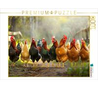 Puzzle CALVENDO En route pour une promenade commune | 1000 pièces, format assemb