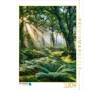 Puzzle CALVENDO En route vers l'été | 1000 pièces, format assemblé 64 × 48 cm |