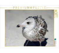 Puzzle CALVENDO Enfant et mouettes | 1000 pièces, format assemblé 64 × 48 cm | P