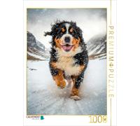 Puzzle · Enfin de la Neige | 1000 pièces · Format assemblé 64 × 48 cm · CALVENDO Puzzle