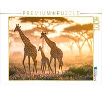 Puzzle CALVENDO Ensemble, visons haut | 1000 pièces, format assemblé 64 × 48 cm