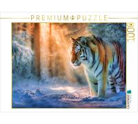 Puzzle CALVENDO Entre ombre et lumière | 1000 pièces, format assemblé 64 × 48 cm
