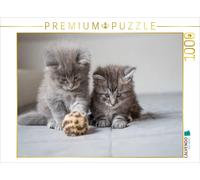 Puzzle CALVENDO envie de jouer | 1000 pièces, format assemblé 64 × 48 cm | Puzzl