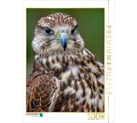 CALVENDO Puzzle Hawk 1000 Pieces 48 x 64 cm from Peter Roder