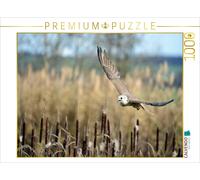 CALVENDO Puzzle Faucon Saker 1000 Pieces 64 x 48 cm from Diane Jordan