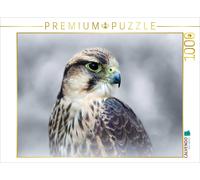Puzzle CALVENDO Faucon lanier | 1000 pièces, format assemblé 64 × 48 cm | Puzzle