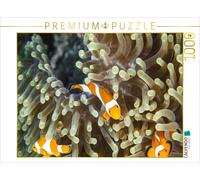 CALVENDO Puzzle Fausse Clown - Poisson anémone 1000 Pieces 64 x 48 cm from Michael Tschierschky