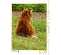 CALVENDO Puzzle Kater Felix Auf Mäusejagd 1000 Teile Puzzle Hoch 1000 Pieces 48 x 64 cm from Jana Thiem-Eberitsch