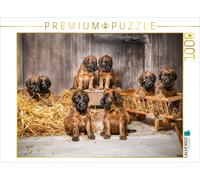 Puzzle CALVENDO Fête de la grange | 1000 pièces, format assemblé 64 × 48 cm | Pu