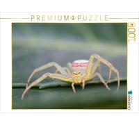 Puzzle CALVENDO Filet à crabes | 1000 pièces, format assemblé 64 × 48 cm | Puzzl