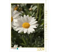 CALVENDO Puzzle margeriten blüte 1000 Teile Puzzle Hoch 1000 Pieces 48 x 64 cm from ralf Guenther