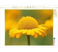 Puzzle CALVENDO Fleur jaune d'été | 1000 pièces, format assemblé 64 × 48 cm | Pu