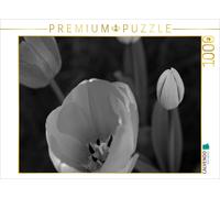 CALVENDO Puzzle Fleurs de Tulipe en Noir et Blanc 1000 Pieces 64 x 48 cm from Sabine Reuke