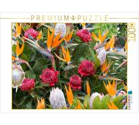 CALVENDO Puzzle Fleurs de l'oiseau de Paradis - Arbustes à Sucre (Protea) 1000 Pieces 64 x 48 cm from Dieter Meyer