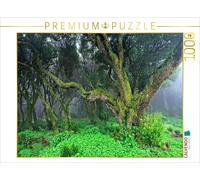Puzzle CALVENDO Forêt de lauriers dans la brume | 1000 pièces, format assemblé 6